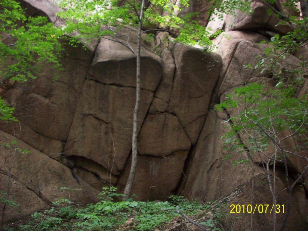 100_5625.JPG