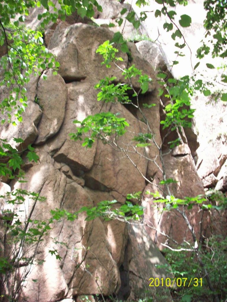 100_5618.JPG