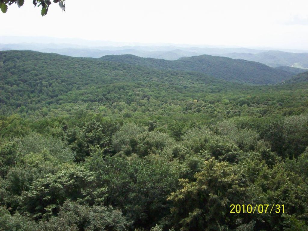 100_5637.JPG