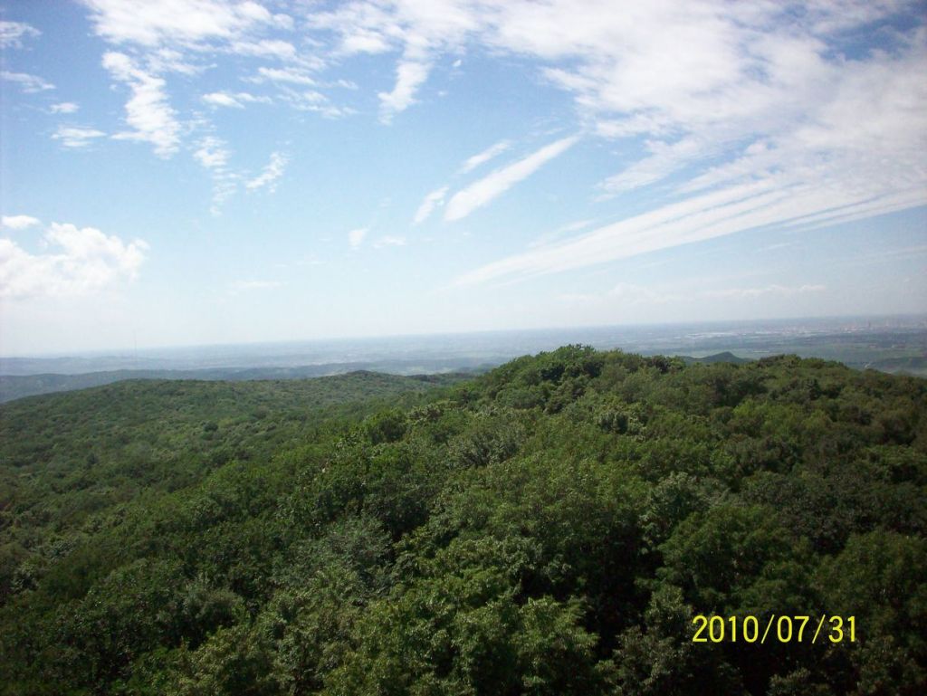 100_5651.JPG