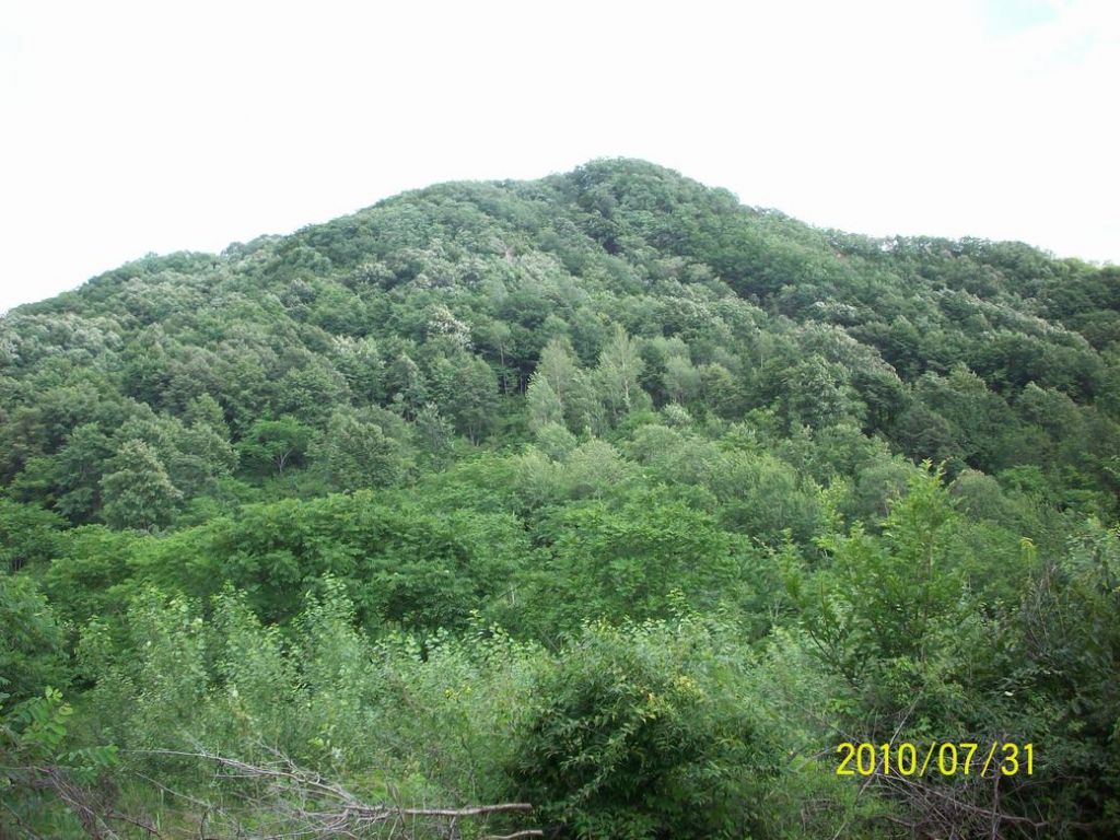 100_5685.JPG