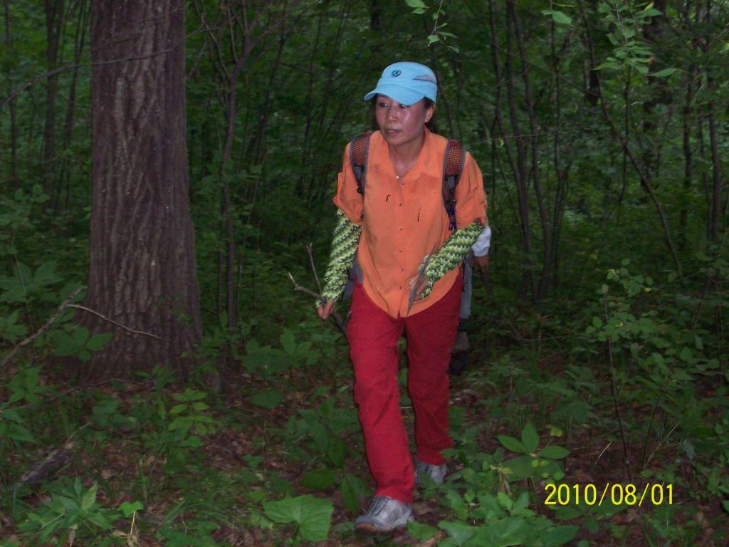 100_5765.JPG