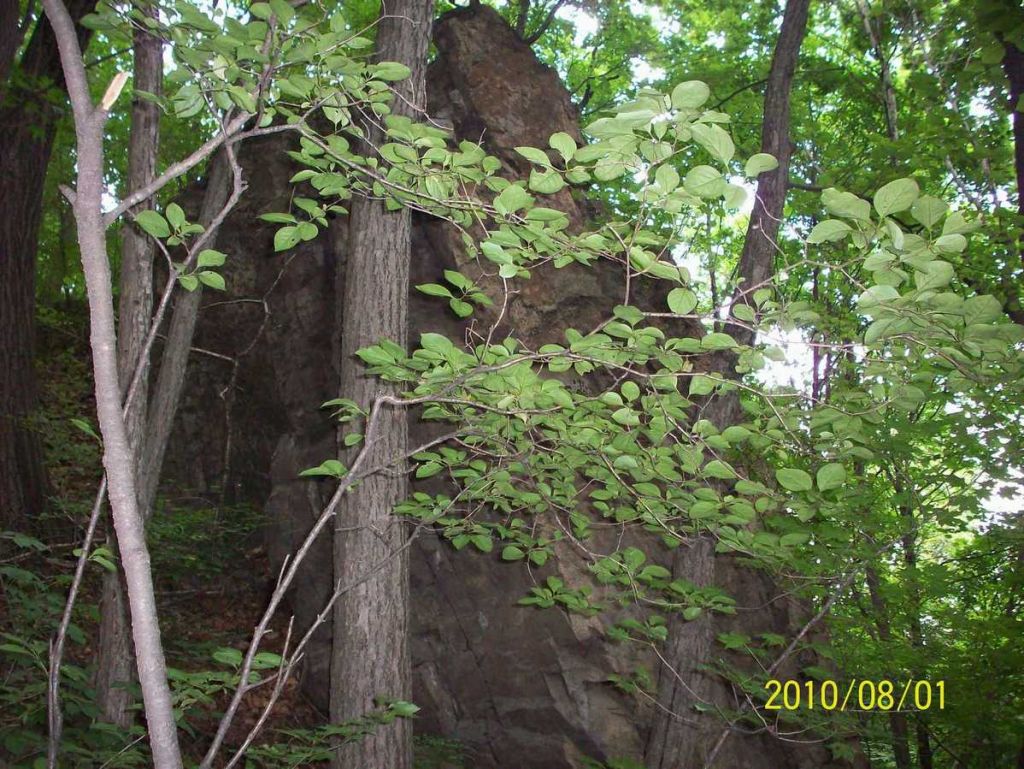 100_5782.JPG