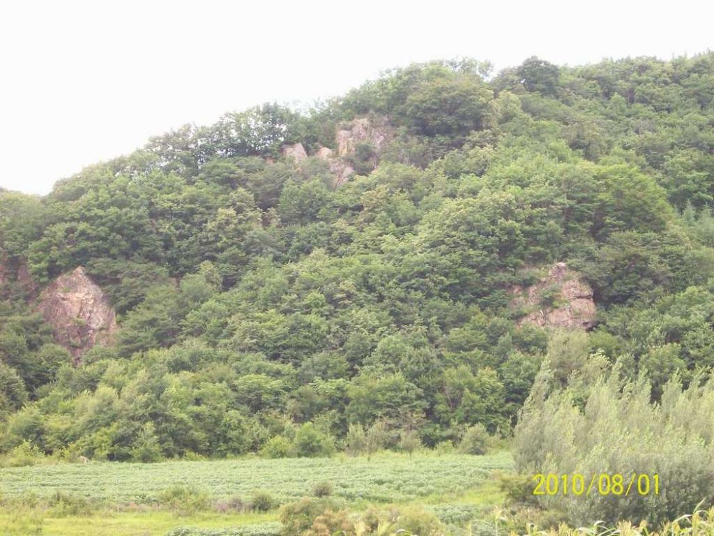 100_5837.JPG