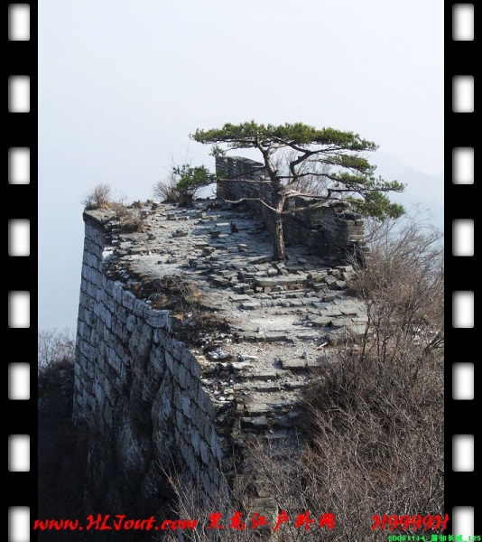 20081114_���۳���_125.jpg
