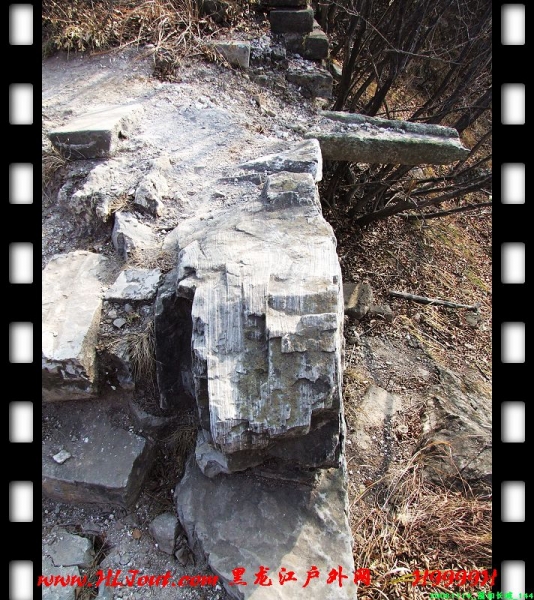 20081114_���۳���_144.jpg