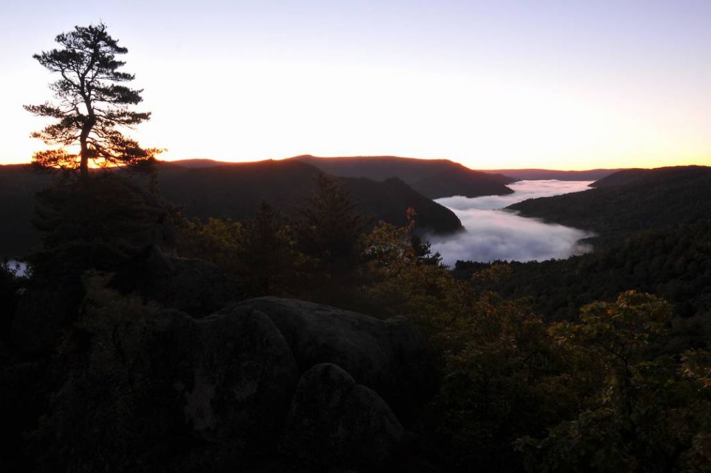 DSC_2347.JPG