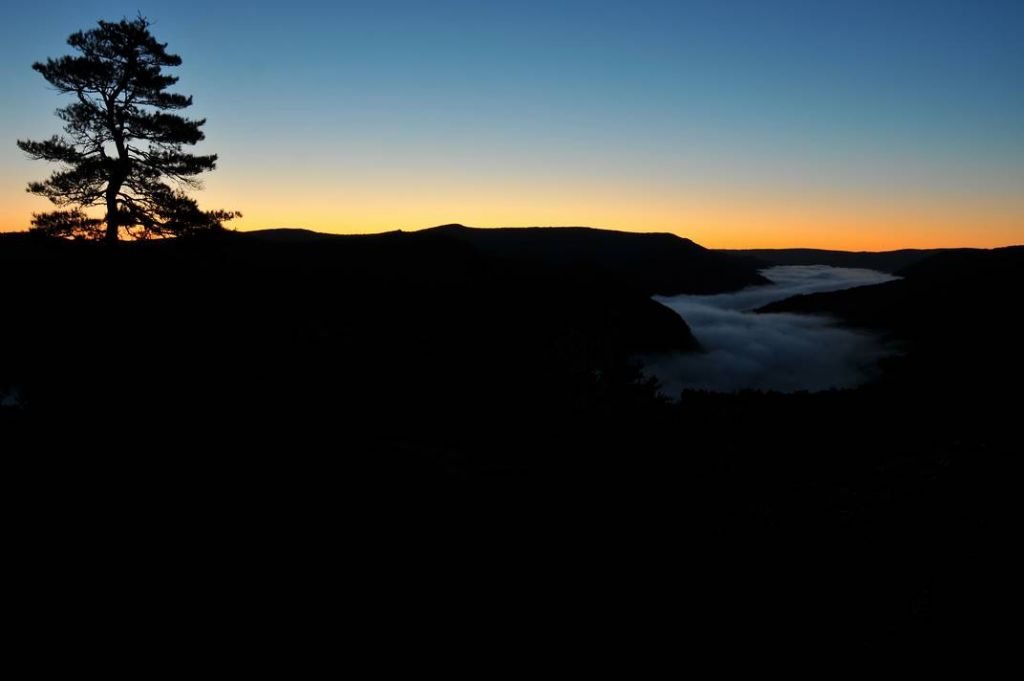 DSC_2355.JPG