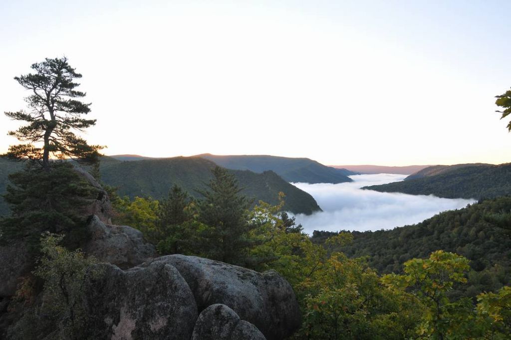DSC_2418.JPG