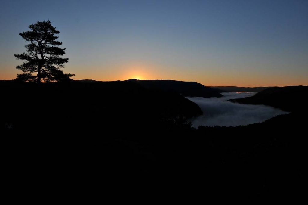 DSC_2424.JPG