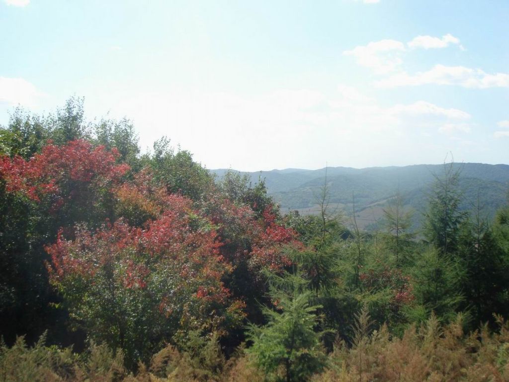 DSC09167.JPG