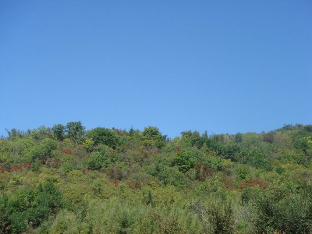 DSC09158.JPG