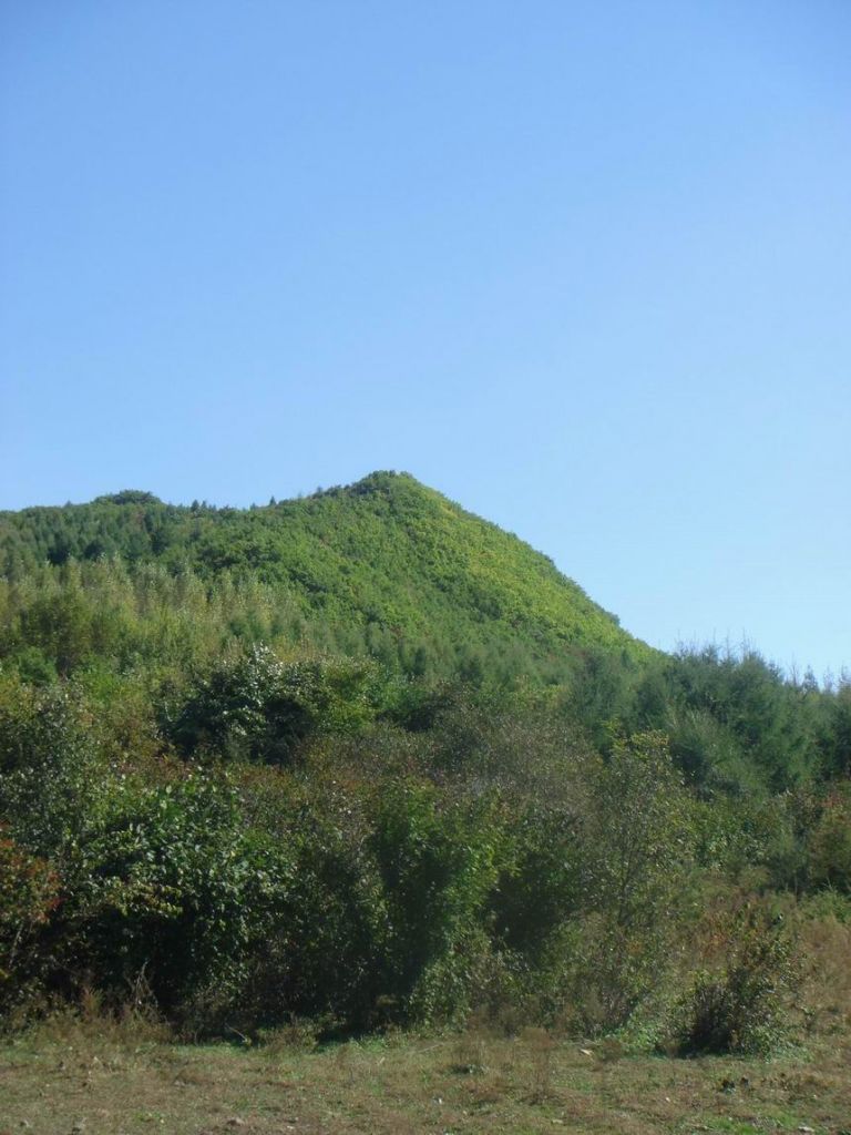 DSC09160.JPG