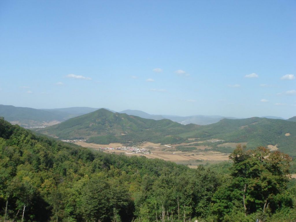 DSC09185.JPG