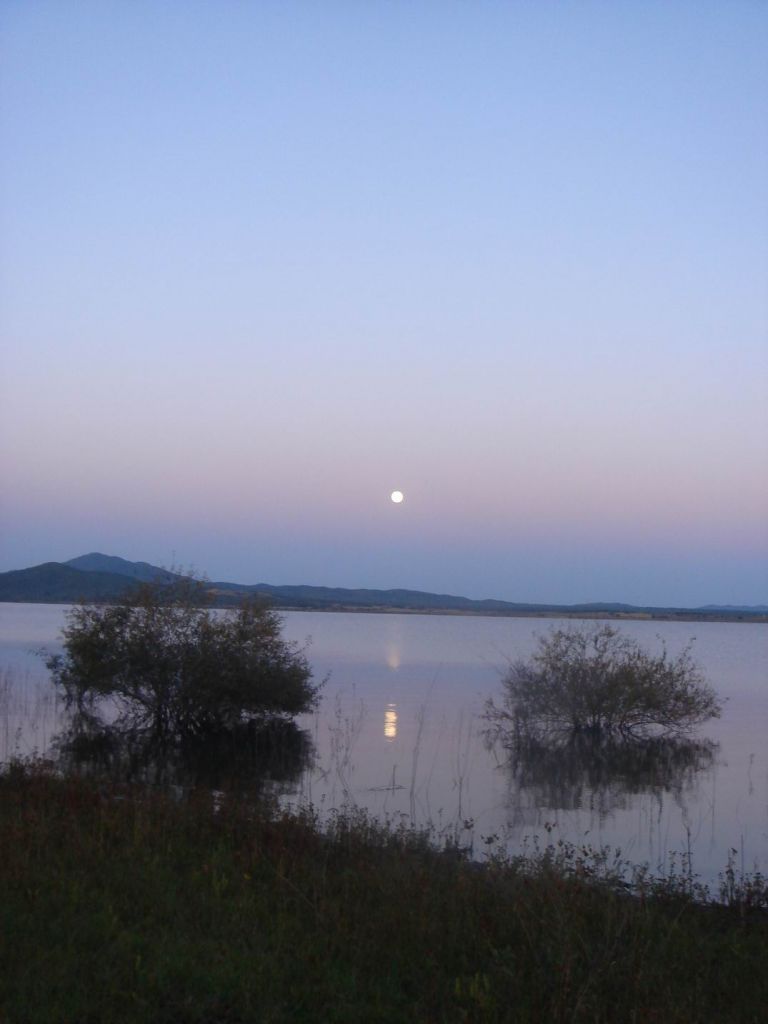 DSC09201.JPG