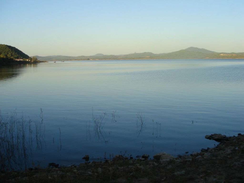 DSC09196.JPG