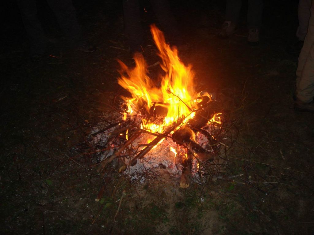 DSC09222.JPG