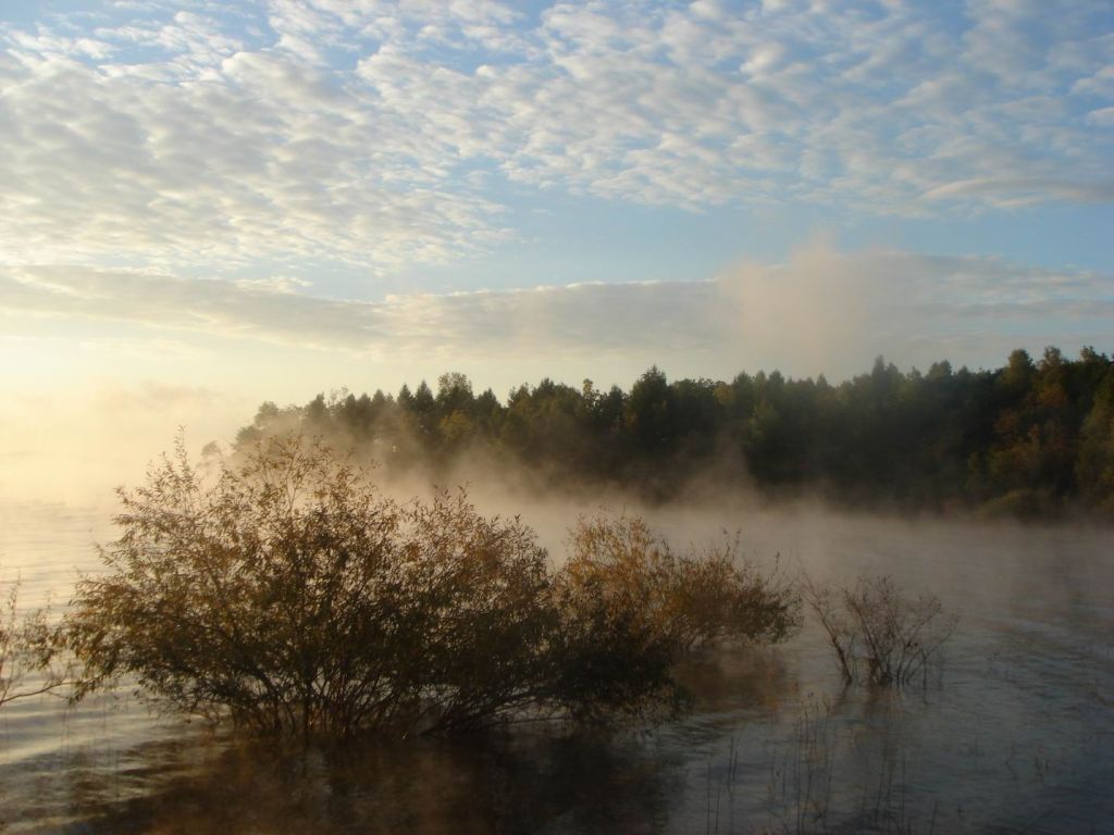 DSC09232.JPG