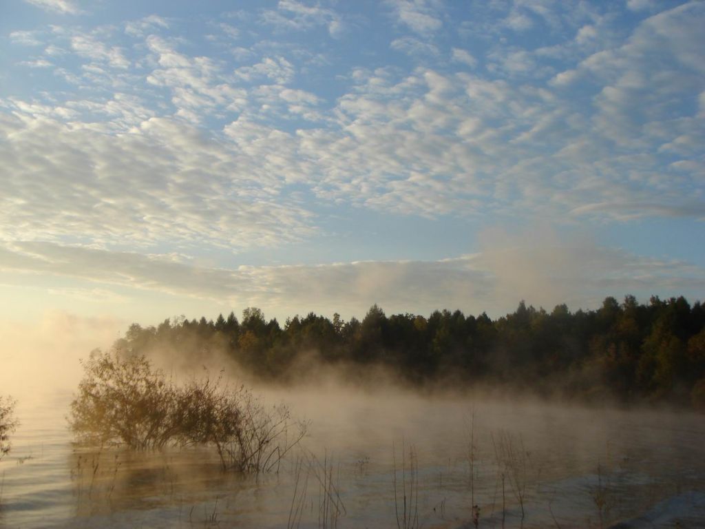 DSC09233.JPG