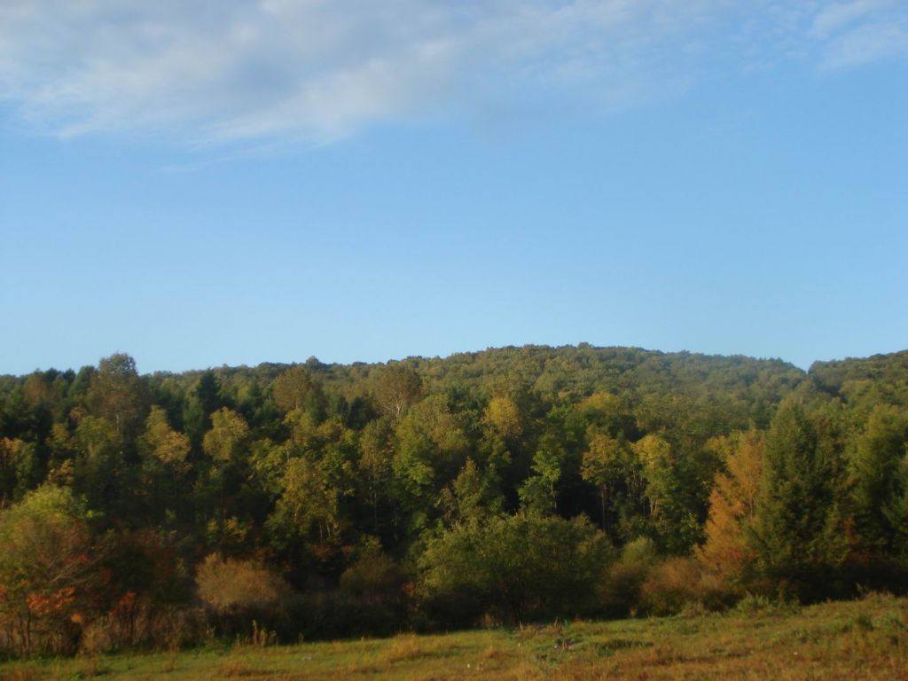 DSC09245.JPG