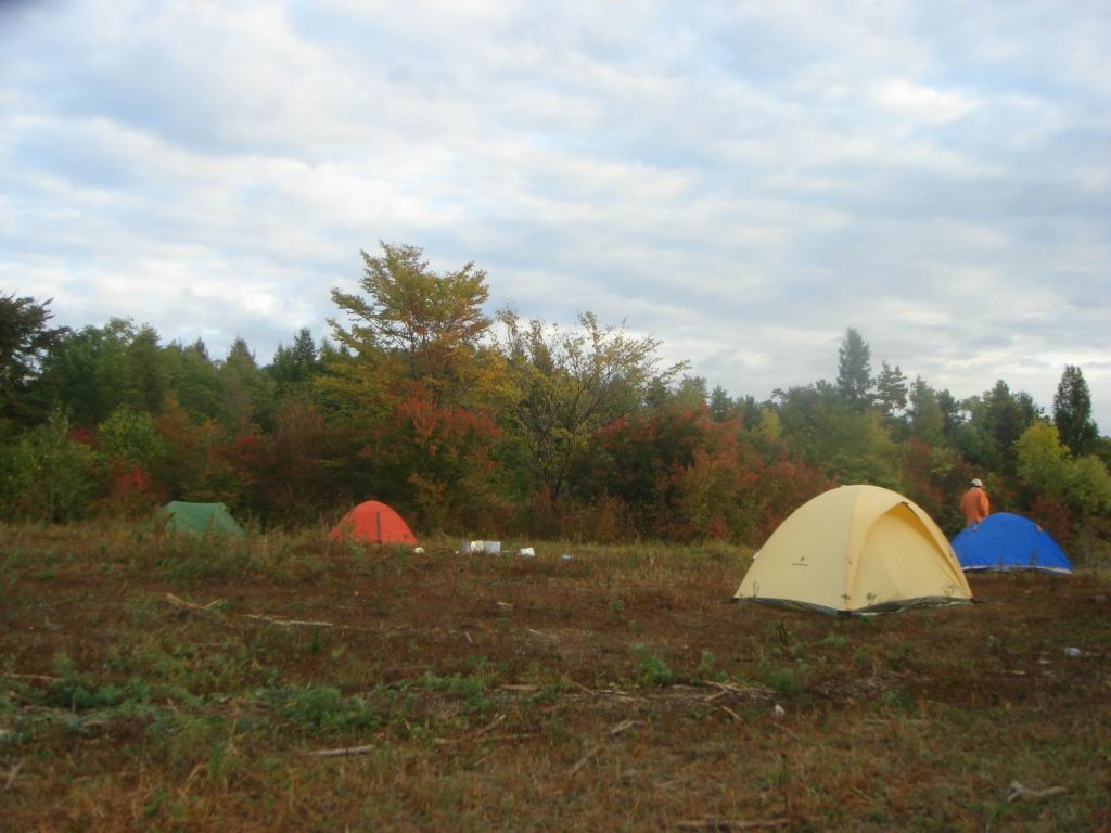 DSC09250.JPG