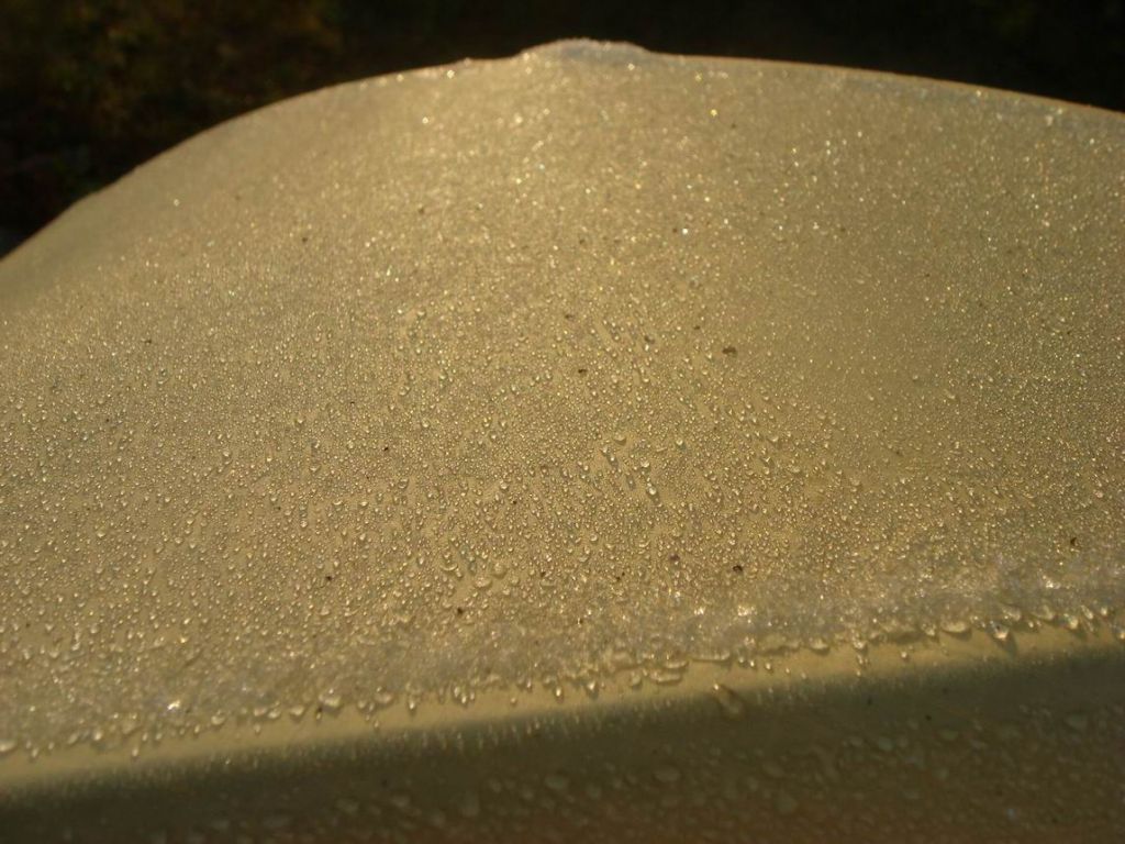 DSC09238.JPG