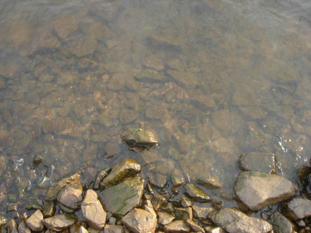 DSC09254.JPG