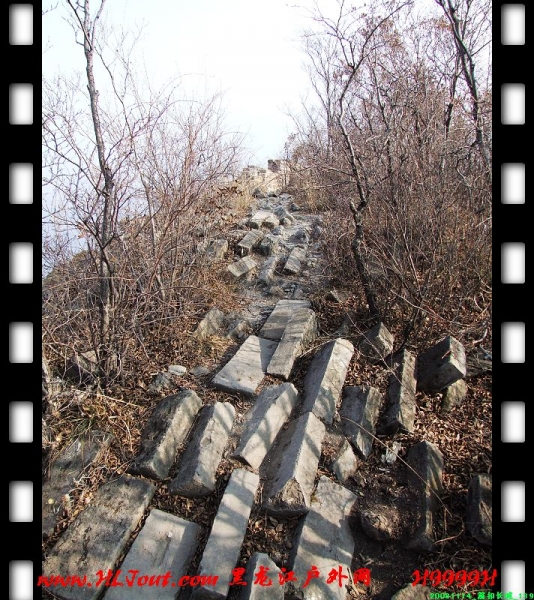 20081114_���۳���_139.jpg