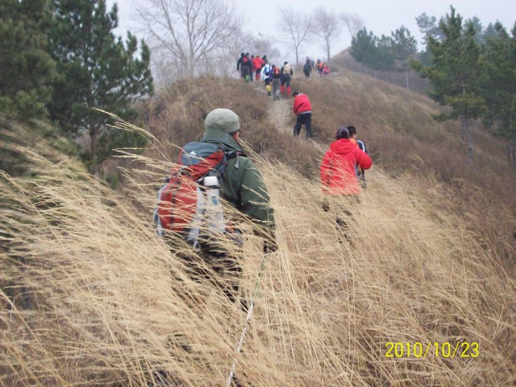 100_8707.JPG