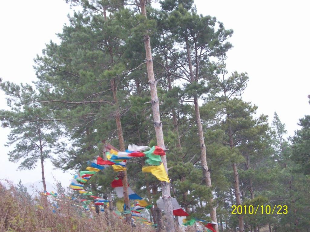 100_8708.JPG
