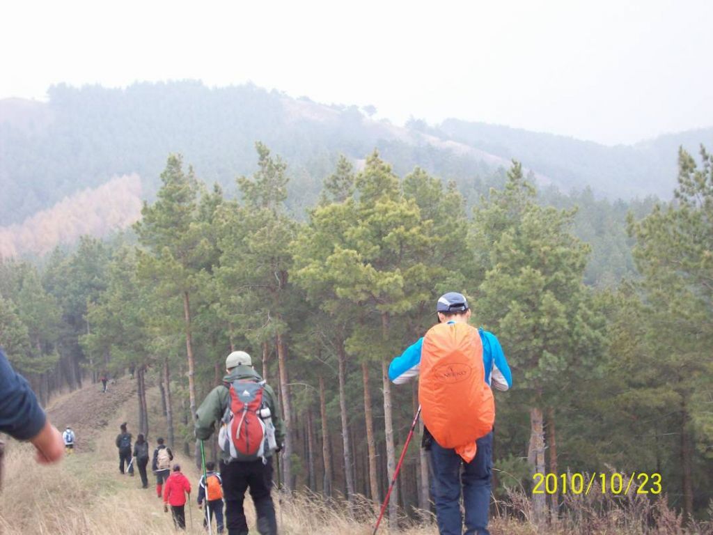 100_8710.JPG