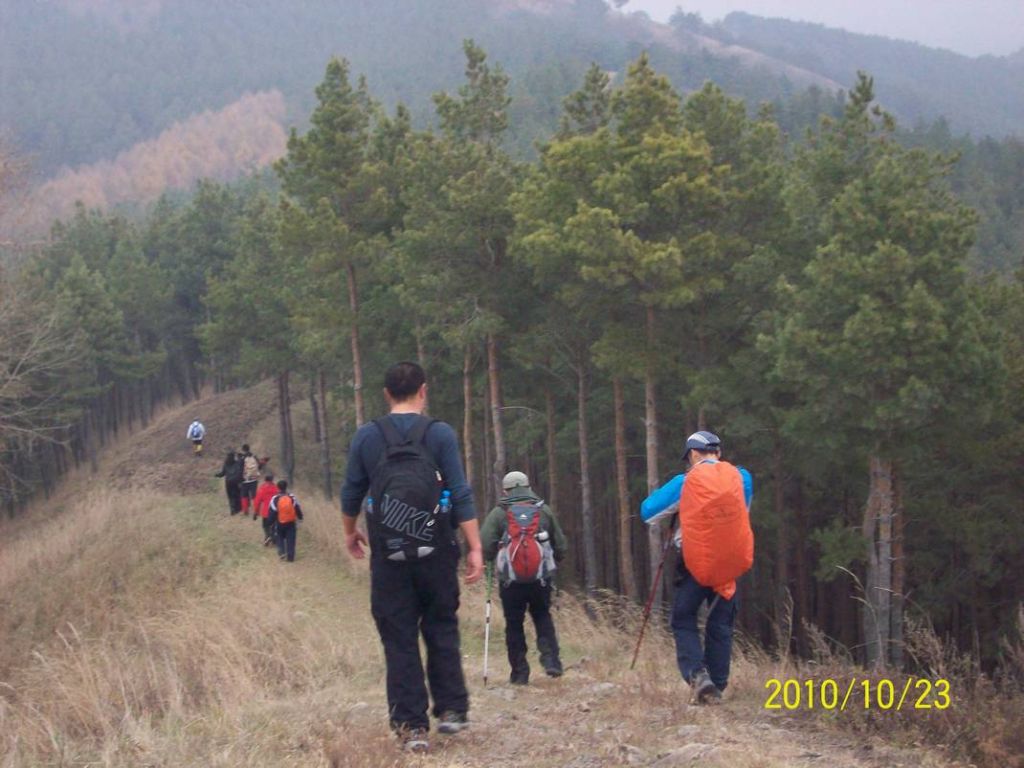 100_8711.JPG
