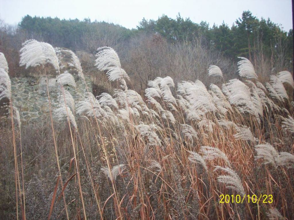 100_8757.JPG