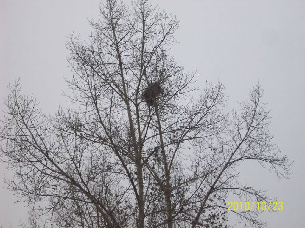 100_8752.JPG