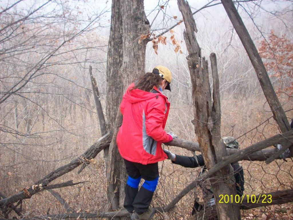 100_8771.JPG