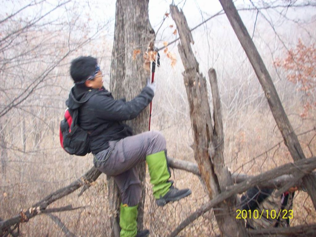 100_8775.JPG