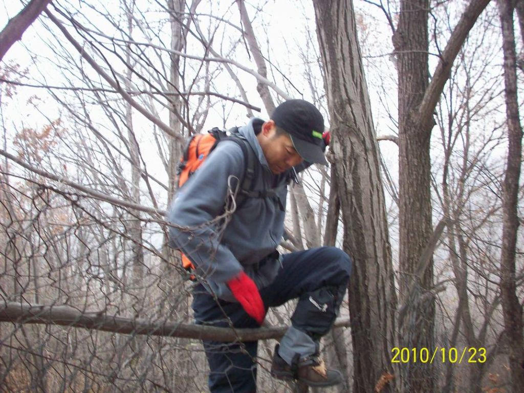 100_8779.JPG