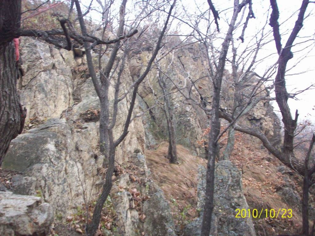 100_8842.JPG