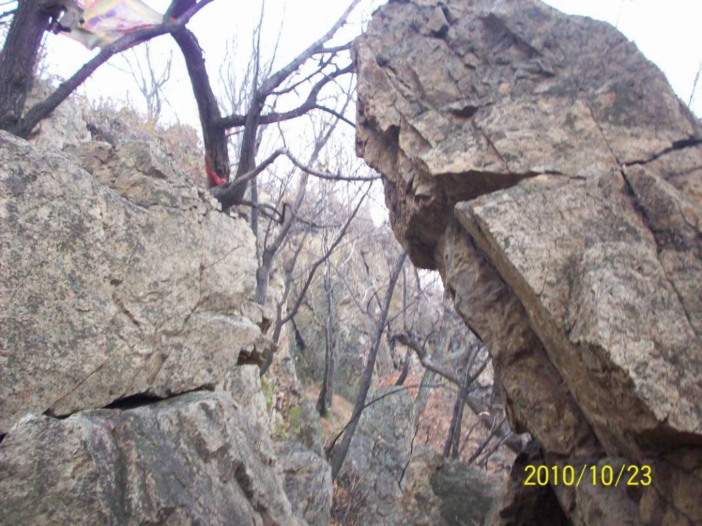 100_8841.JPG