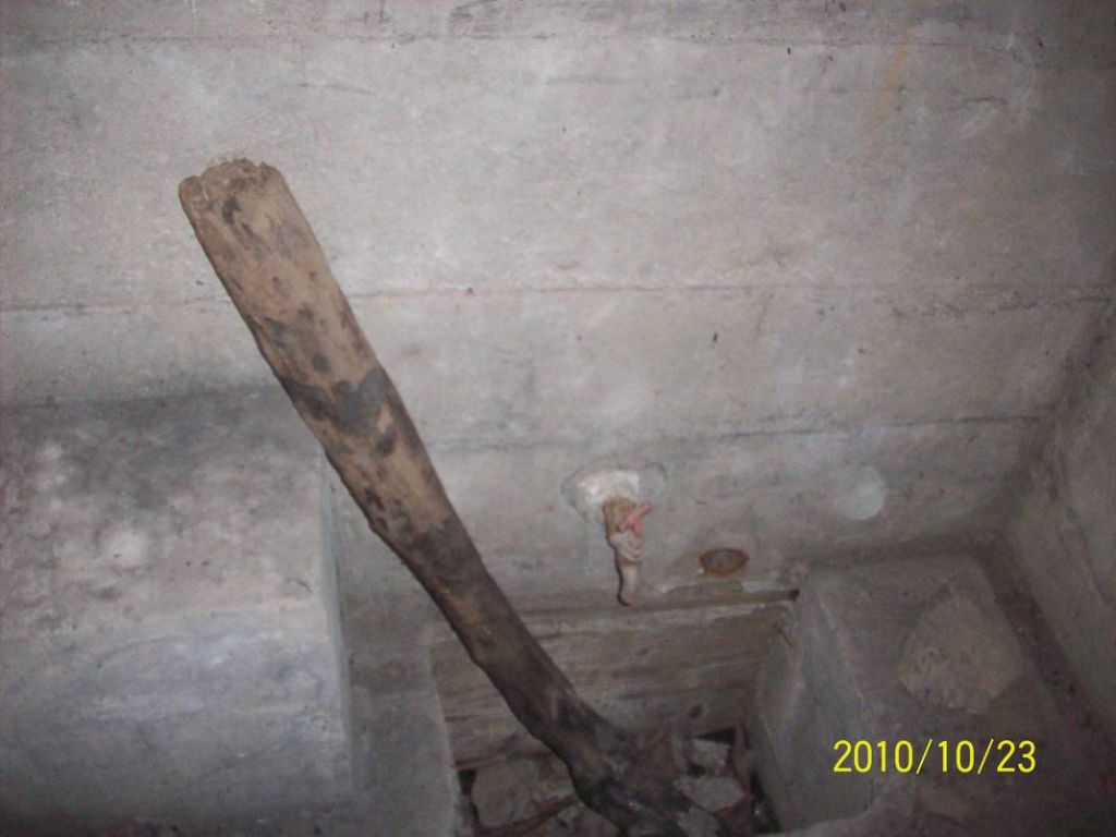 100_8883.JPG