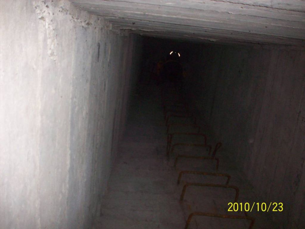 100_8878.JPG