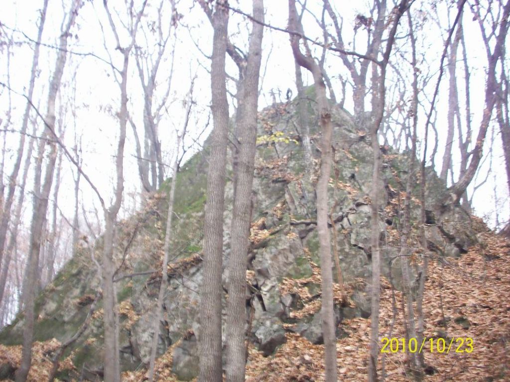 100_8898.JPG