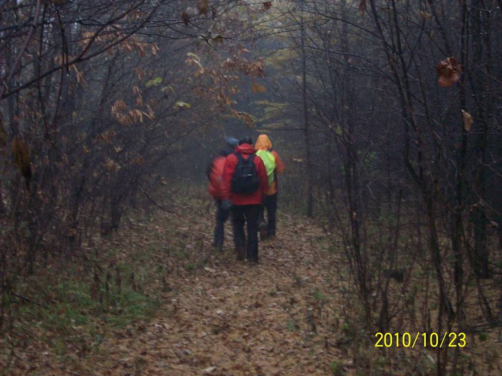 100_8962.JPG
