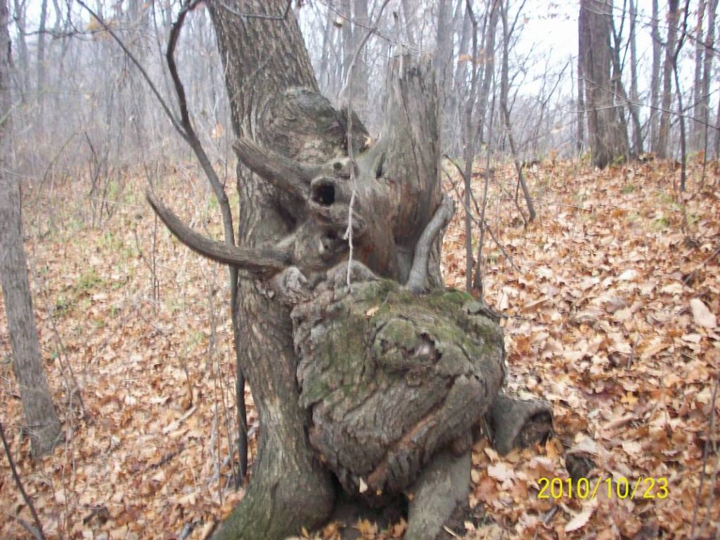 100_8941.JPG