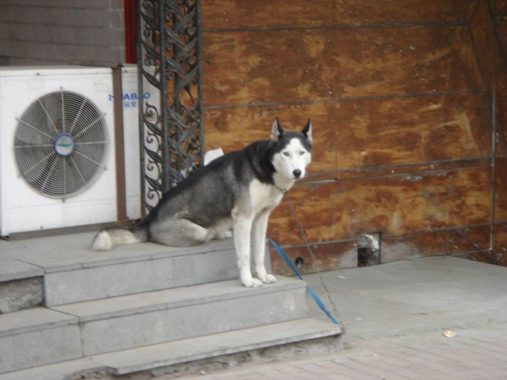 DSC09263.JPG