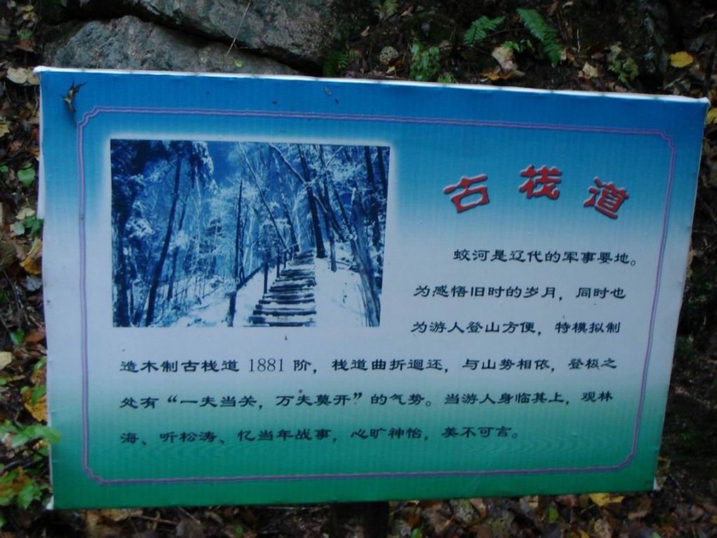 DSC09342.JPG