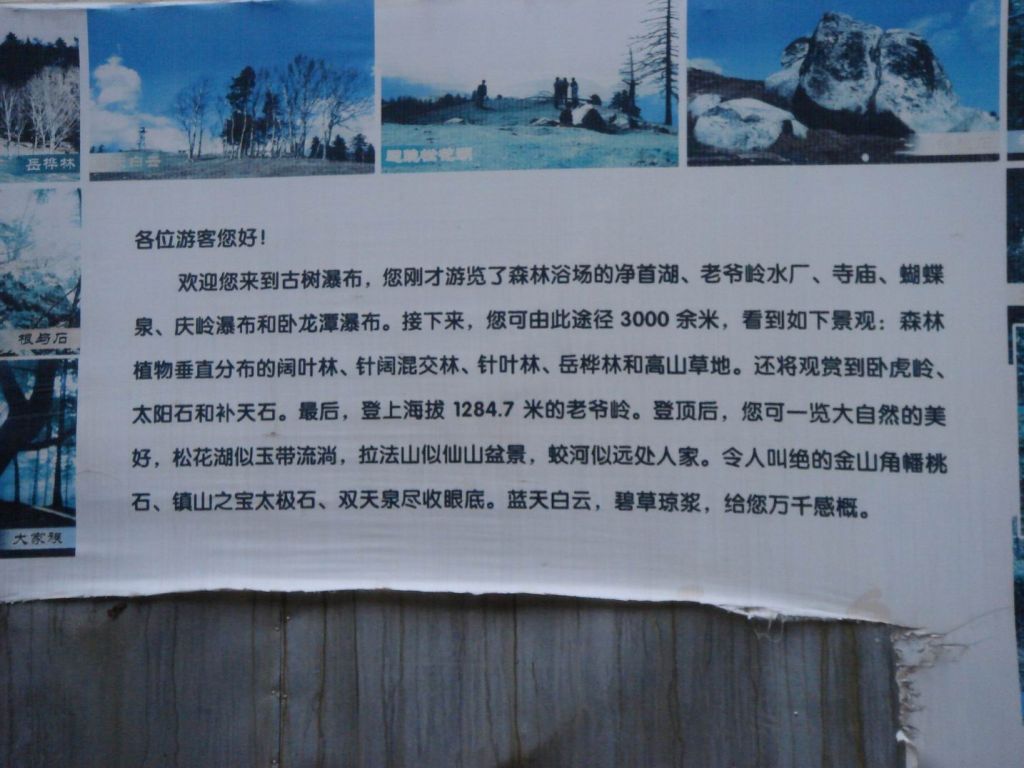 DSC09349.JPG