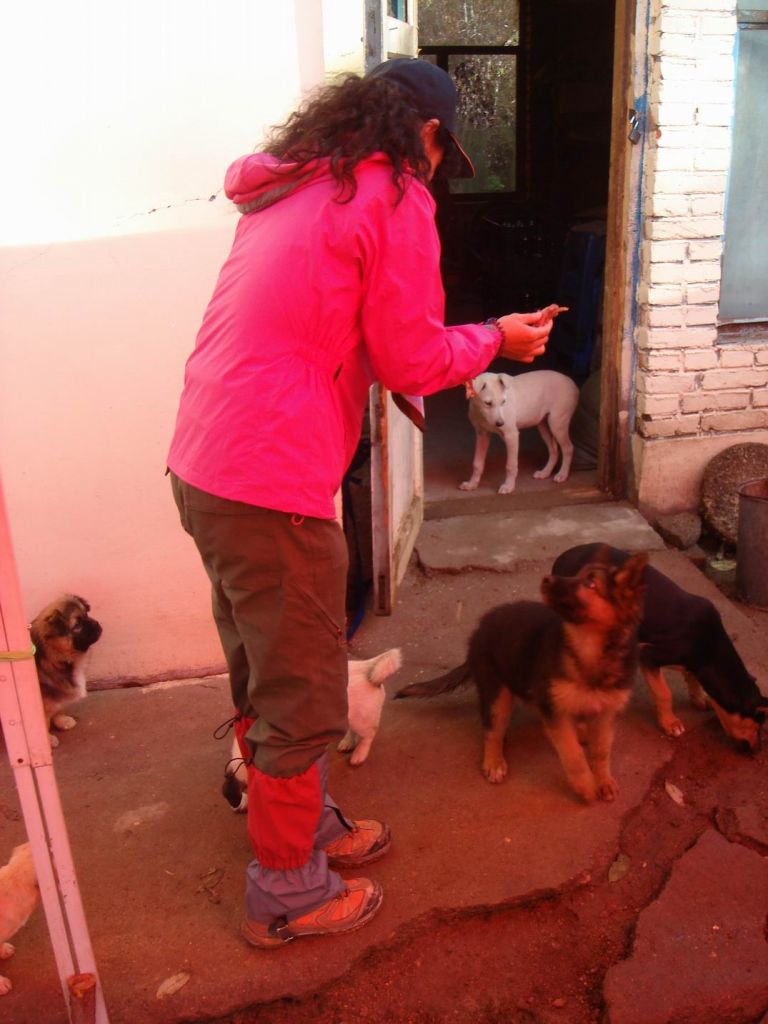DSC09402.JPG
