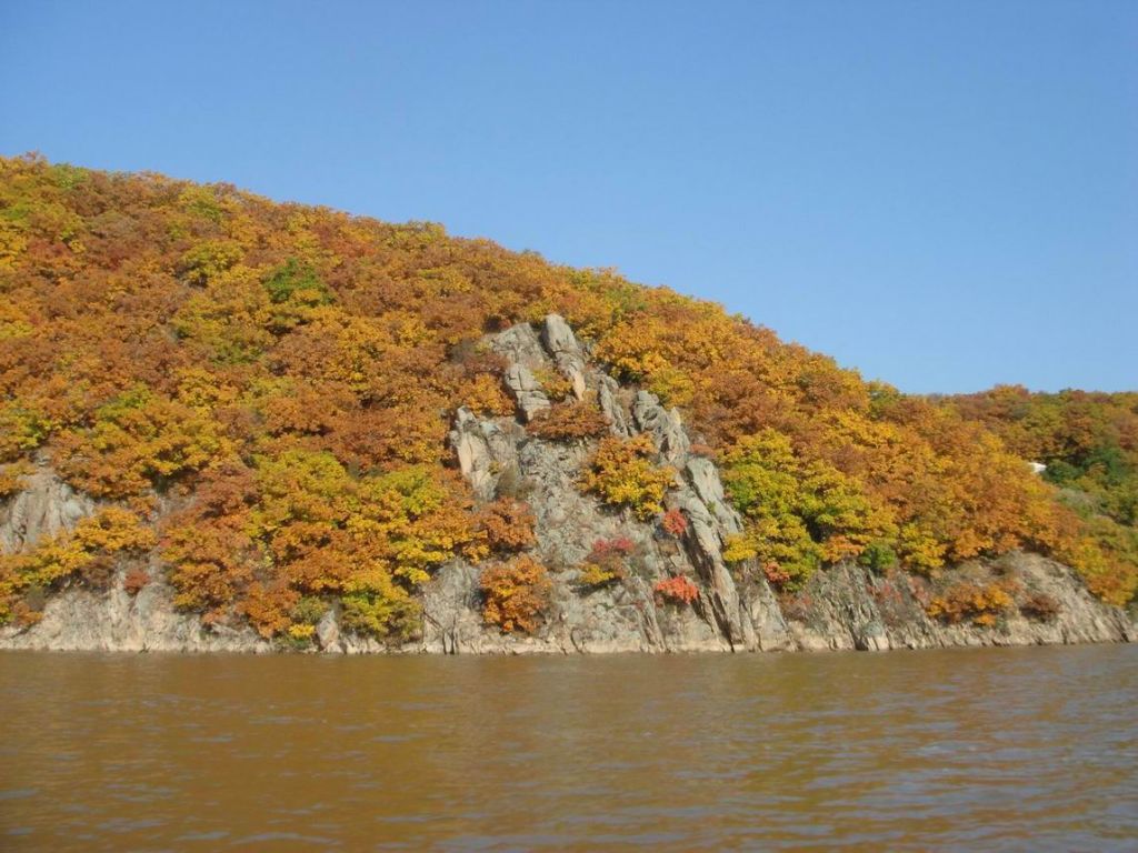 DSC09623.JPG