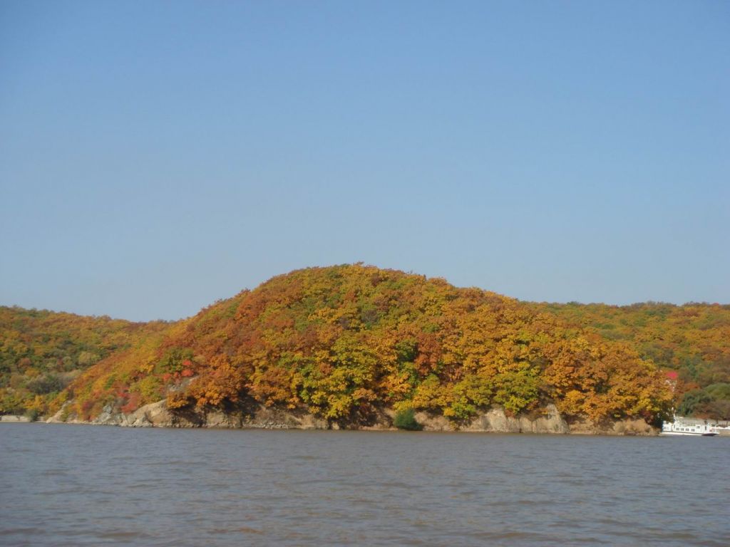 DSC09618.JPG